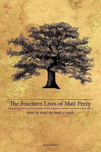 Produktbild: The Fourteen Lives of Matt Perry
