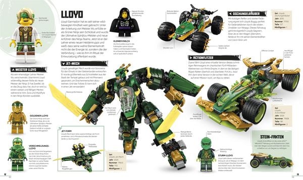 Produktbild: LEGO&reg; NINJAGO&reg; Das gro&szlig;e Ninja-Lexikon