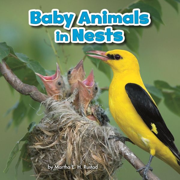 Produktbild: Baby Animals in Nests
