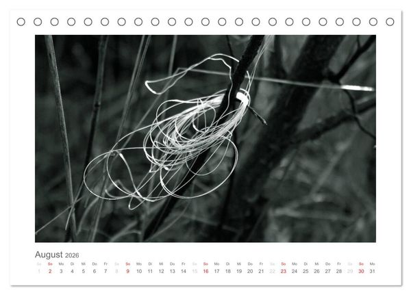 Produktbild: einfach schwarz-wei&szlig; (Tischkalender 2026 DIN A5 quer), CALVENDO Monatskalender