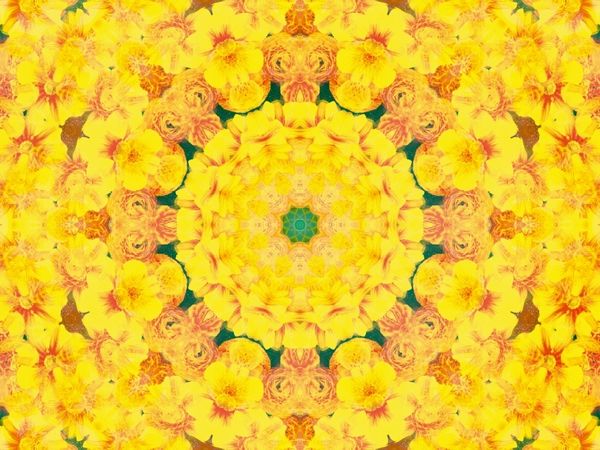 Produktbild: CALVENDO Puzzle Gelbe Energie | 1000 Teile Lege-Gr&ouml;&szlig;e 64x48cm Foto-Puzzle f&uuml;r gl&uuml;ckliche Stunden