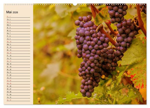 Produktbild: Weinanbau. Von der Traube zum Wein (Wandkalender 2026 DIN A2 quer), CALVENDO Monatskalender