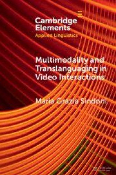 Produktbild: Multimodality and Translanguaging in Video Interactions