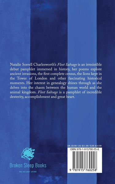 Produktbild: Fleet Salvage