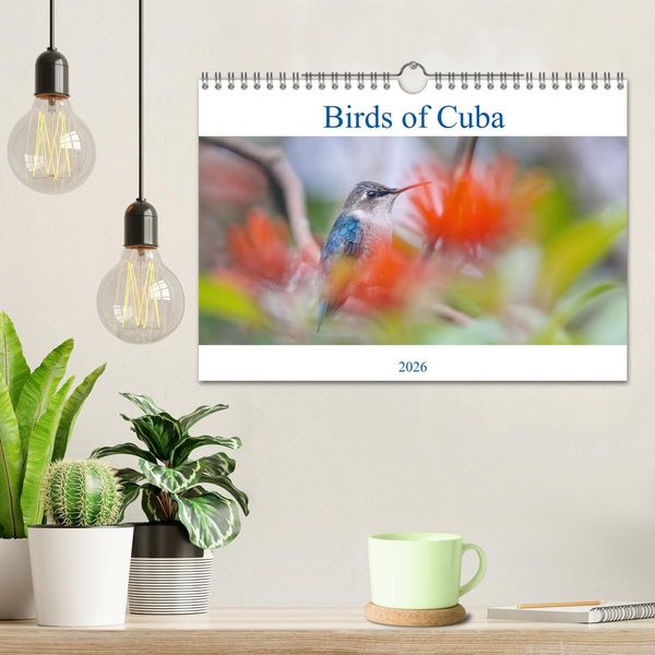 Produktbild: Birds of Cuba Island (Wall Calendar 2026 DIN A4 landscape), CALVENDO 12 Month Wall Calendar