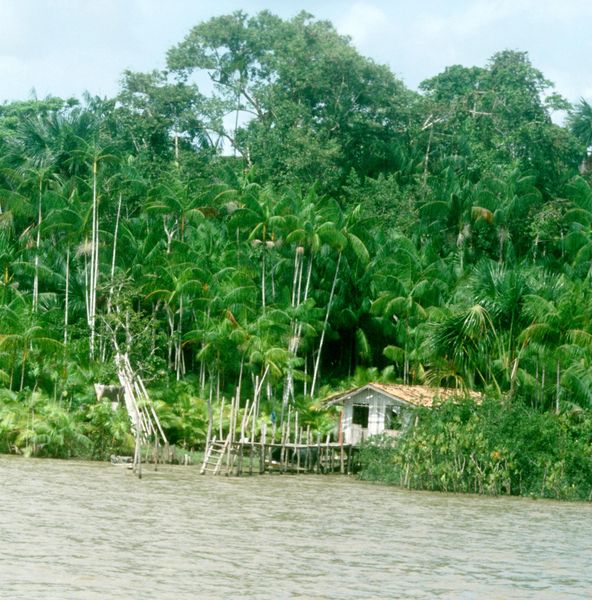 Produktbild: Alua
