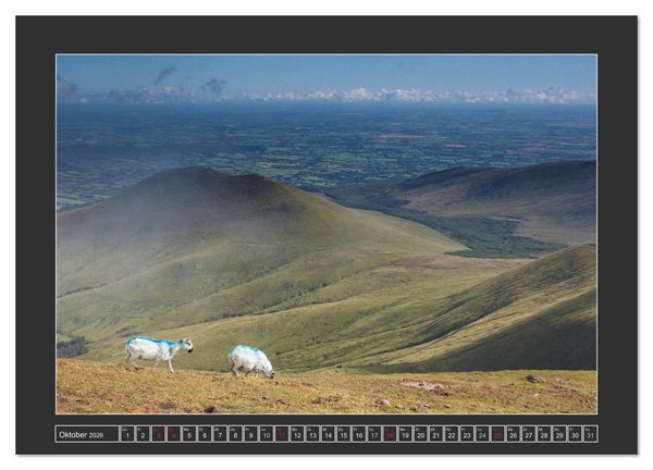 Produktbild: IRLAND - Insel der gl&uuml;cklichen Schafe (Wandkalender 2026 DIN A3 quer), CALVENDO Monatskalender