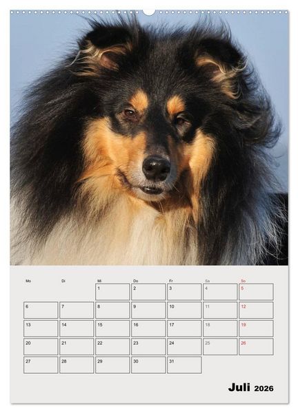 Produktbild: Collies - Freunde f&uuml;r&acute;s Leben (hochwertiger Premium Wandkalender 2026 DIN A2 hoch), Kunstdruck in Hochglanz
