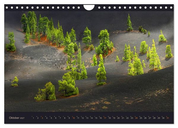 Produktbild: wildes La Palma (Wandkalender 2027 DIN A4 quer), CALVENDO Monatskalender