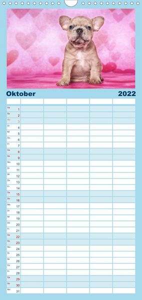 Produktbild: Bullys - Franz&ouml;sische Bulldoggen 2022 - Familienplaner hoch (Wandkalender 2022 , 21 cm x 45 cm, hoch)