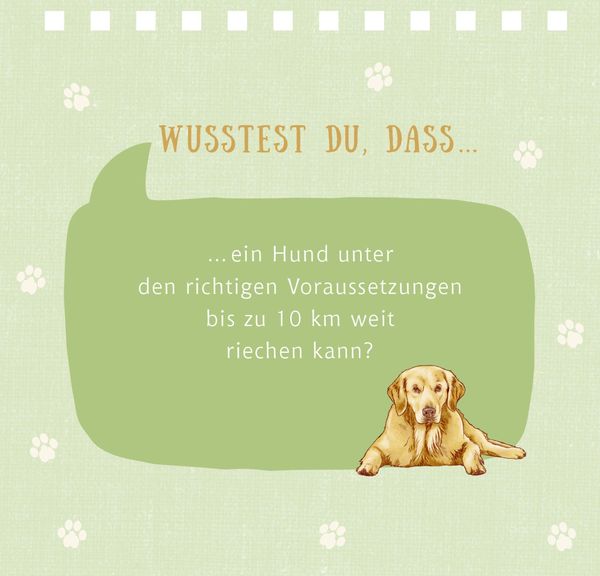 Produktbild: Kl. Spiralaufstellbuch: Tierisch beste Freunde (cats & dogs)