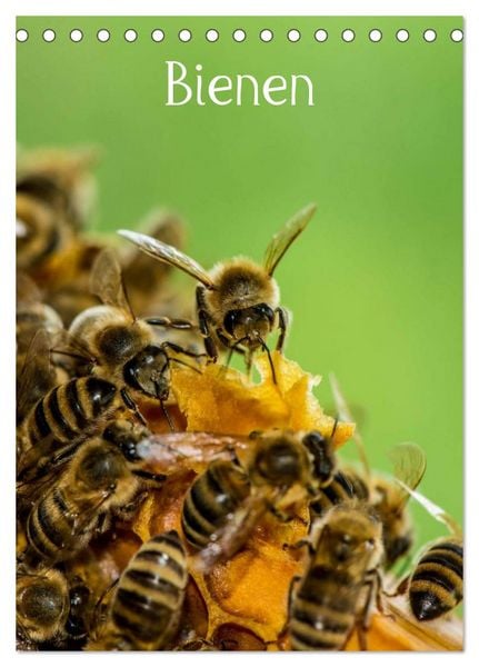 Produktbild: Bienen (Tischkalender 2026 DIN A5 hoch), CALVENDO Monatskalender