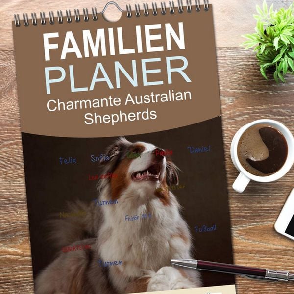Produktbild: Familienplaner 2026 - Charmante Australian Shepherds mit 5 Spalten (Wandkalender, 21 x 45 cm) CALVENDO
