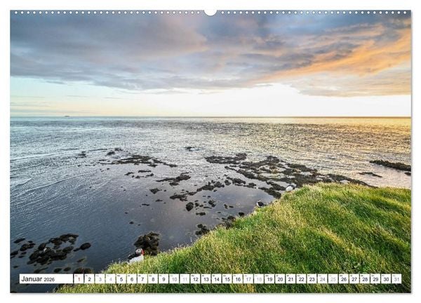 Produktbild: Islands Papageientaucher (hochwertiger Premium Wandkalender 2026 DIN A2 quer), Kunstdruck in Hochglanz