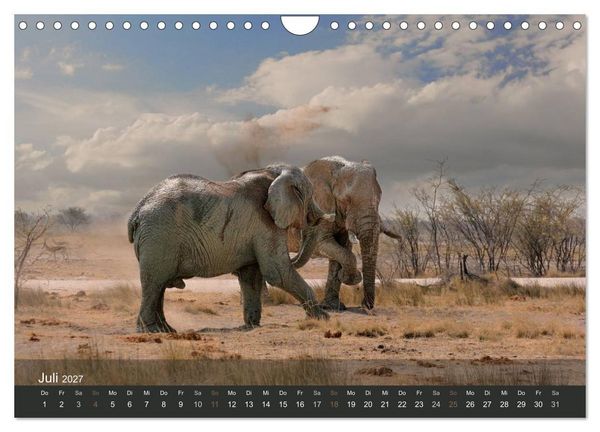 Produktbild: Elefanten (Wandkalender 2027 DIN A4 quer), CALVENDO Monatskalender