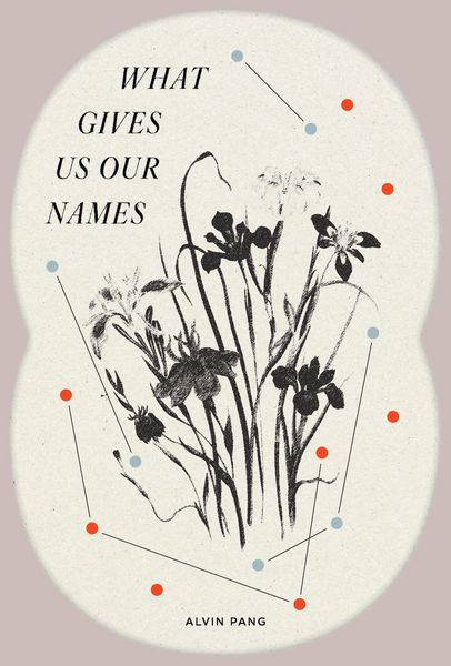 Produktbild: What Gives Us Our Names