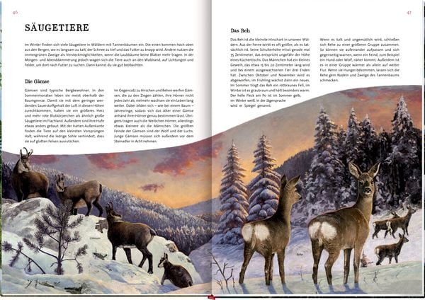Produktbild: Das gro&szlig;e Buch vom Tannenbaum