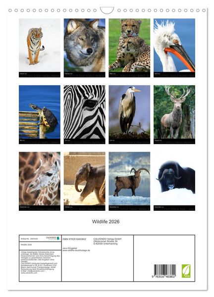 Produktbild: Wildlife 2026 (Wandkalender 2026 DIN A3 hoch), CALVENDO Monatskalender