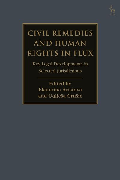 Produktbild: Civil Remedies and Human Rights in Flux