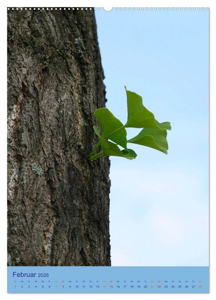 Produktbild: Ginkgo (hochwertiger Premium Wandkalender 2026 DIN A2 hoch), Kunstdruck in Hochglanz