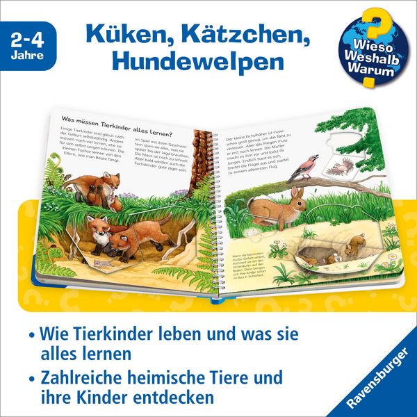 Produktbild: Wieso? Weshalb? Warum? junior, Band 15 - Unsere Tierkinder
