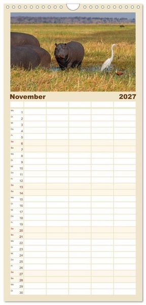 Produktbild: Familienplaner 2027 - Hippos - Gef&auml;hrliche Giganten mit 5 Spalten (Wandkalender, 21 x 45 cm) CALVENDO