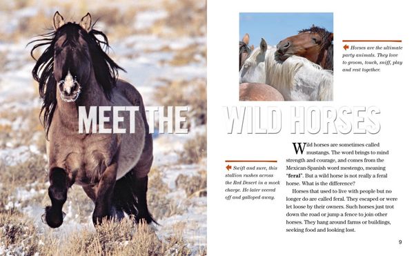 Produktbild: Nat Geo Reader Wild Horses