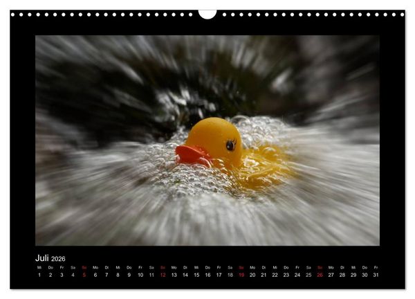 Produktbild: Enten-Rennen (Wandkalender 2026 DIN A3 quer), CALVENDO Monatskalender