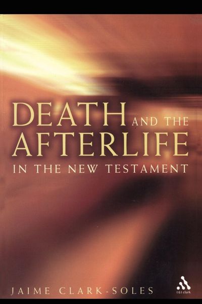 Produktbild: Death and the Afterlife in the New Testament