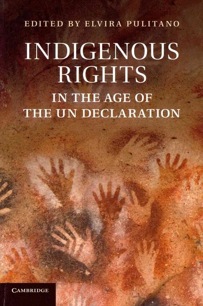 Produktbild: Indigenous Rights in the Age of the Un Declaration