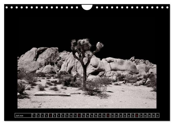 Produktbild: USA - 4000 Meilen S&uuml;dwest Hommage an die gro&szlig;en SW-Fotografen Amerikas (Wandkalender 2026 DIN A4 quer), CALVENDO Monatskalender