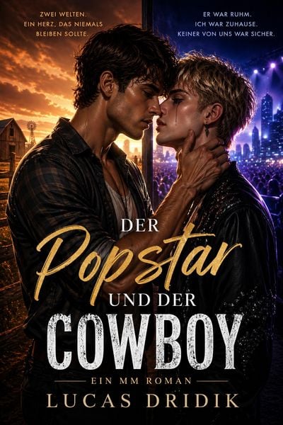 Produktbild: Der Popstar und der Cowboy