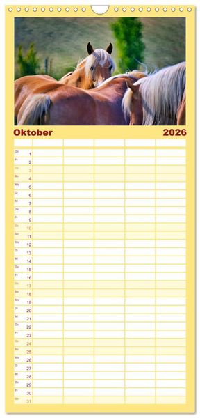Produktbild: Familienplaner 2026 - Die besonderen Haflinger-Pferde mit 5 Spalten (Wandkalender, 21 x 45 cm) CALVENDO
