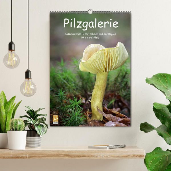Produktbild: Pilzgalerie - Faszinierende Pilzaufnahmen aus der Region Rheinland-Pfalz (Wandkalender 2026 DIN A2 hoch), CALVENDO Monatskalender