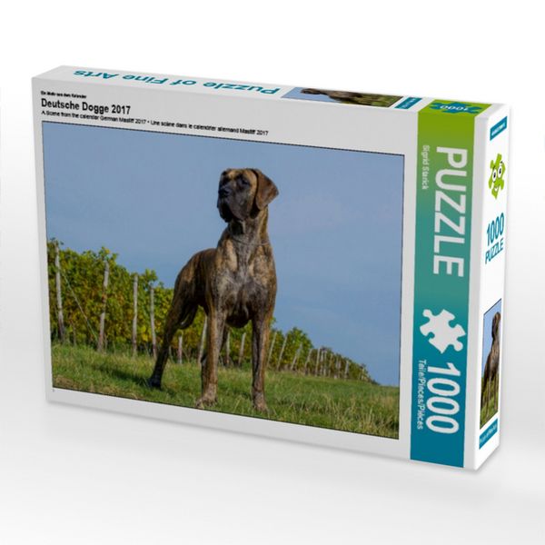 CALVENDO Puzzle Ein Motiv aus dem Kalender Deutsche Dogge 2017 | 1000 Teile Lege-Größe 64x48cm Foto-Puzzle für glückliche Stunden