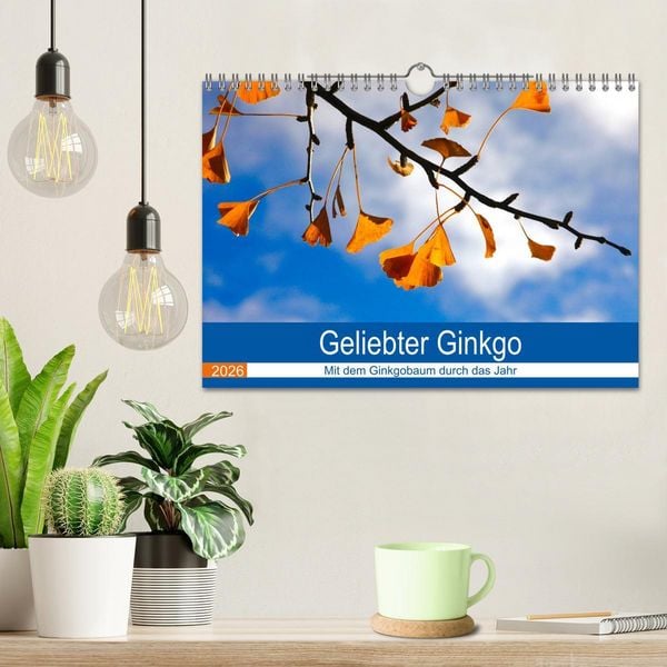 Produktbild: Geliebter Ginkgo (Wandkalender 2026 DIN A4 quer), CALVENDO Monatskalender