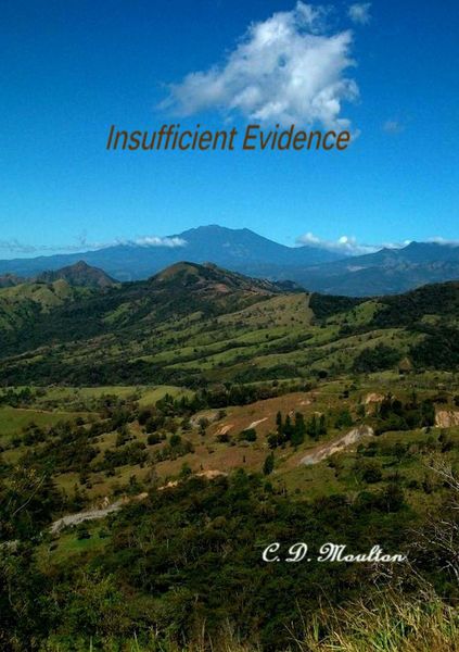 Produktbild: Insufficient Evidence
