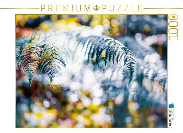 Produktbild: CALVENDO Puzzle Farnwedel im Lichtertanz | 1000 Teile Lege-Gr&ouml;&szlig;e 64x48cm Foto-Puzzle f&uuml;r gl&uuml;ckliche Stunden