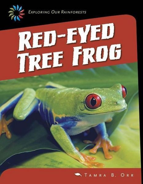Produktbild: Red-Eyed Tree Frog