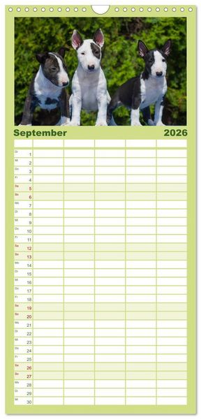 Produktbild: Familienplaner 2026 - Welpen 2026 mit 5 Spalten (Wandkalender, 21 x 45 cm) CALVENDO