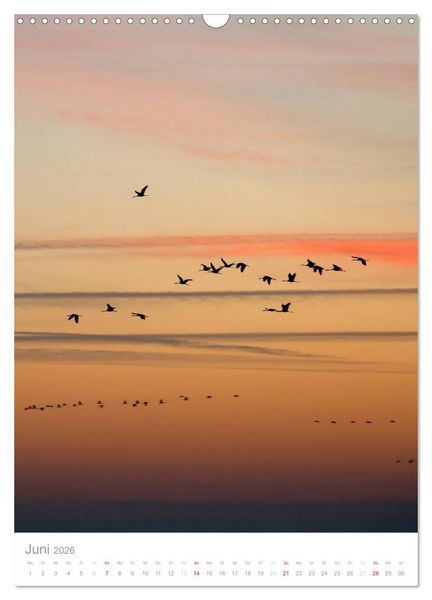 Produktbild: Der Flug der Kraniche (Wandkalender 2026 DIN A3 hoch), CALVENDO Monatskalender