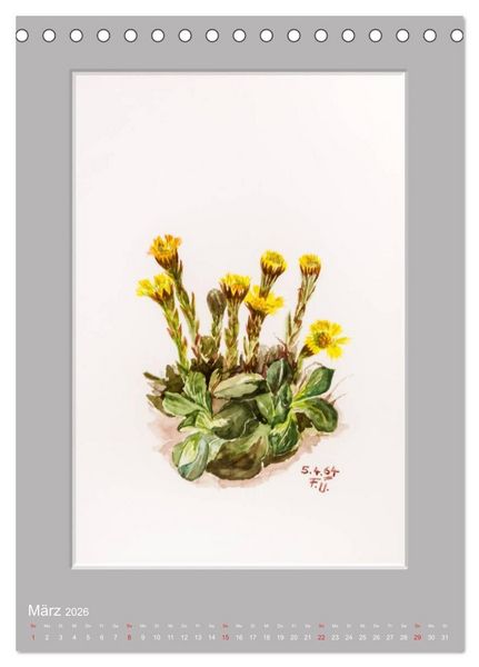 Produktbild: Alpenblumen Aquarelle aus Tirol (Tischkalender 2026 DIN A5 hoch), CALVENDO Monatskalender
