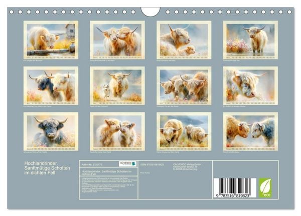 Produktbild: Hochlandrinder. Sanftm&uuml;tige Schotten im dichten Fell (Wandkalender 2027 DIN A4 quer), CALVENDO Monatskalender