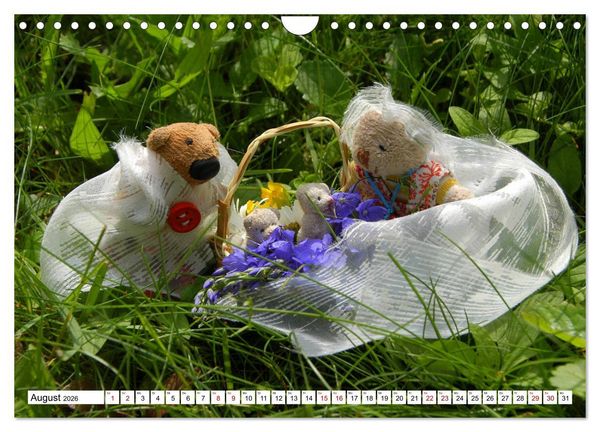 Produktbild: Die Hochzeitsb&auml;rchen (Wandkalender 2026 DIN A4 quer), CALVENDO Monatskalender
