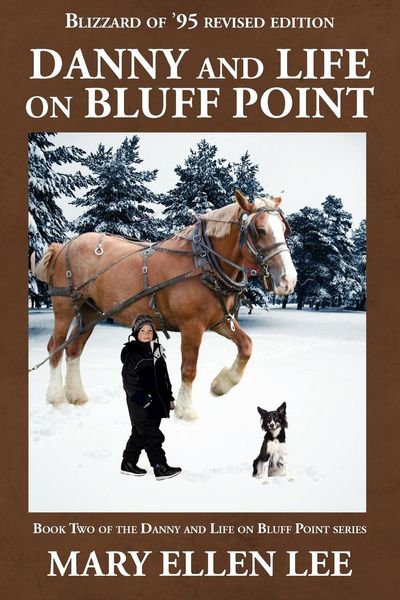Produktbild: Danny and Life on Bluff Point