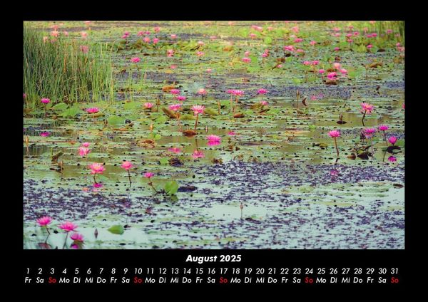 Produktbild: Rosen-Kalender 2025 Fotokalender DIN A3