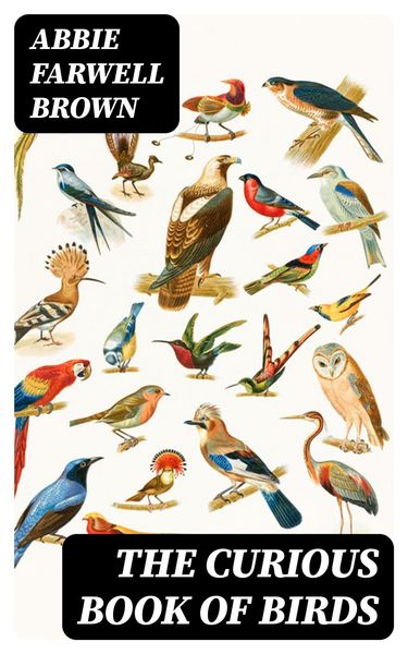 Produktbild: The Curious Book of Birds