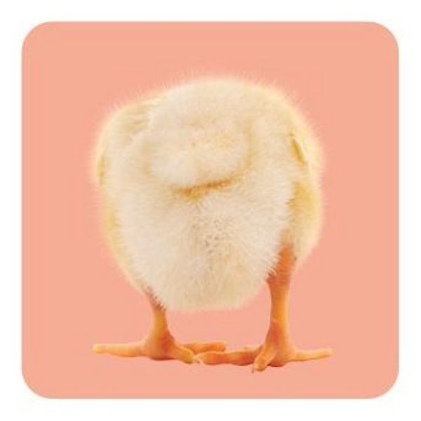 Produktbild: Memo-Spiel: Fluffy Butts &ndash; Finde den passenden Po zum Kopf!