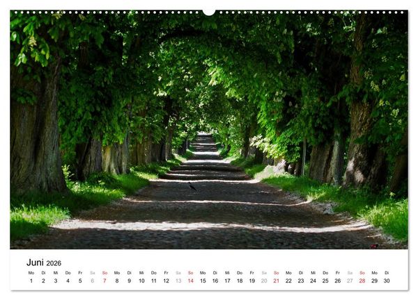 Produktbild: R&uuml;gen (hochwertiger Premium Wandkalender 2026 DIN A2 quer), Kunstdruck in Hochglanz