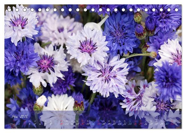 Produktbild: Bl&uuml;ten dicht an dicht (Tischkalender 2026 DIN A5 quer), CALVENDO Monatskalender